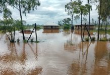 Flooding Crisis Worsens in Lake Naivasha Area, Nakuru County